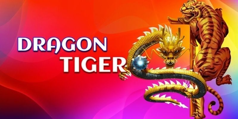 ภาพรวมของ Dragon Tiger ที่ CAT999